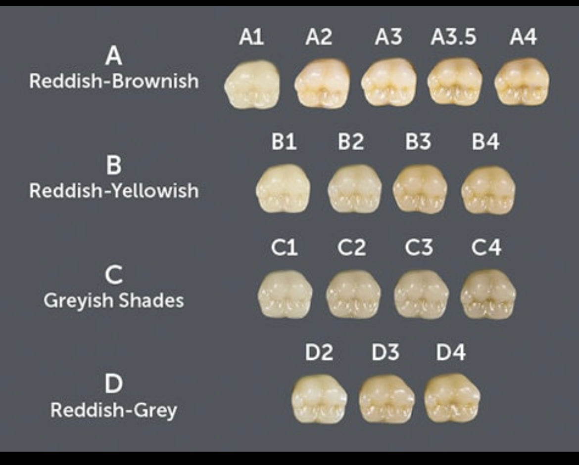 Tooth Shades 